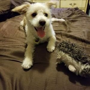 Meet your Posher, Jacquelyn